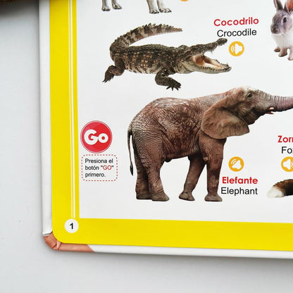 Spanish & English Bilingual Sound Book